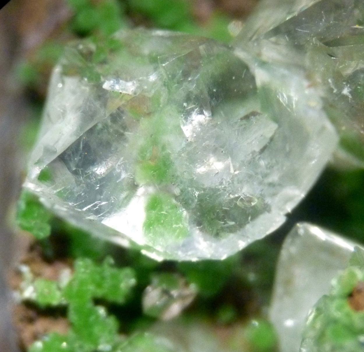 Conichalcite & Calcite