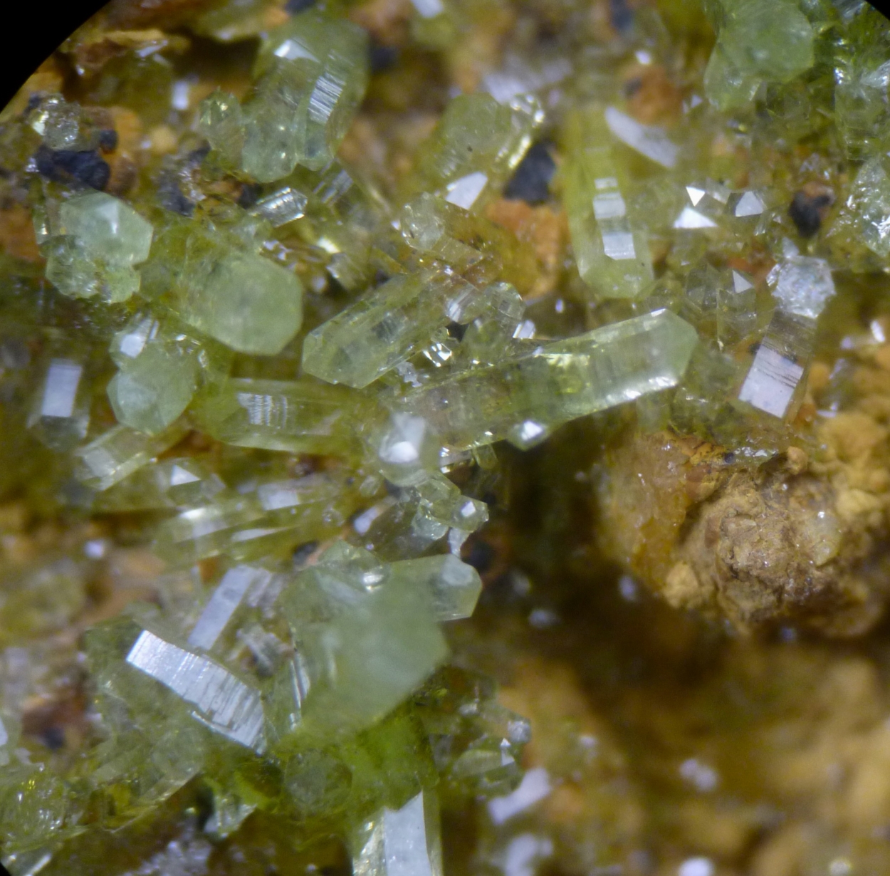 Pyromorphite