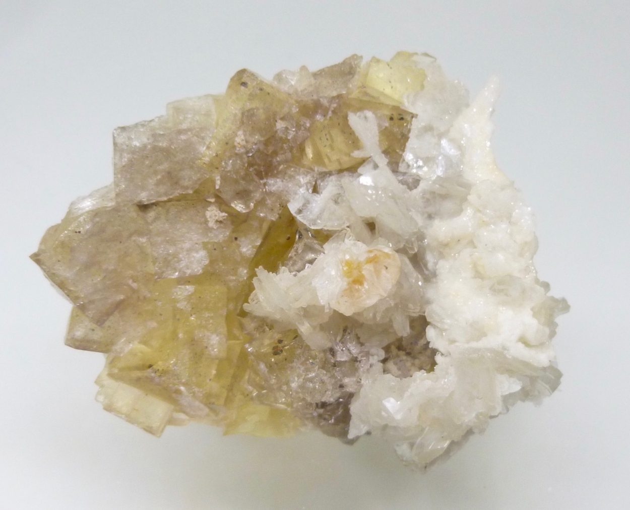 Fluorite & Baryte