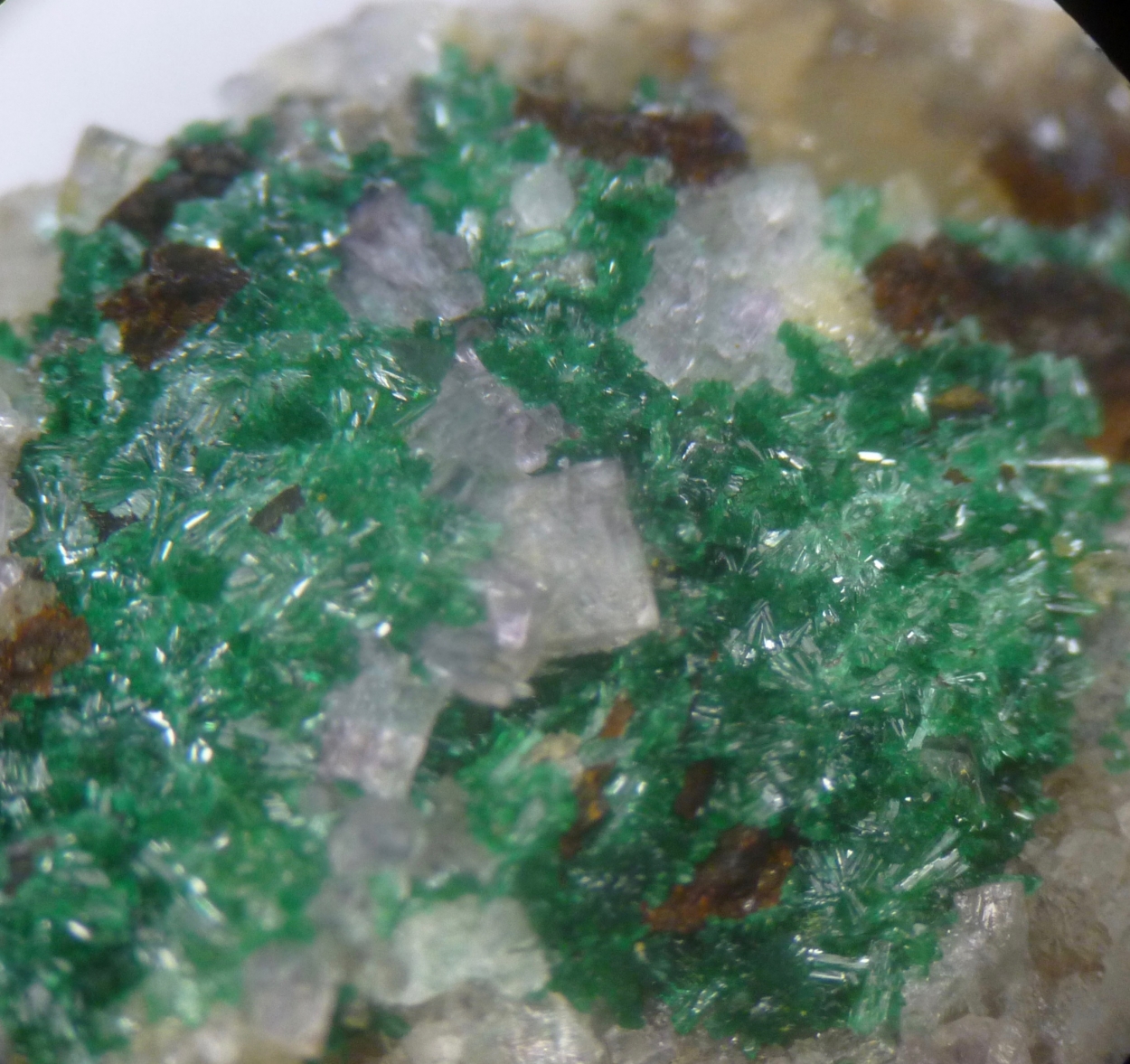 Fluorite & Malachite