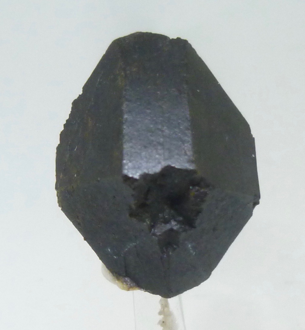 Augite