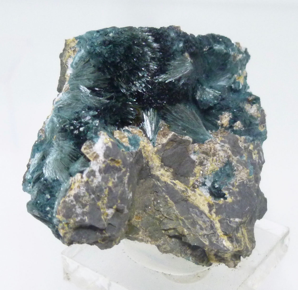 Gormanite