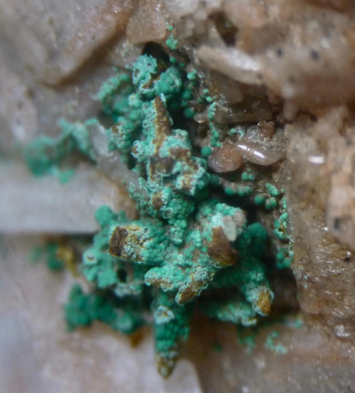 Cockscomb Baryte & Malachite