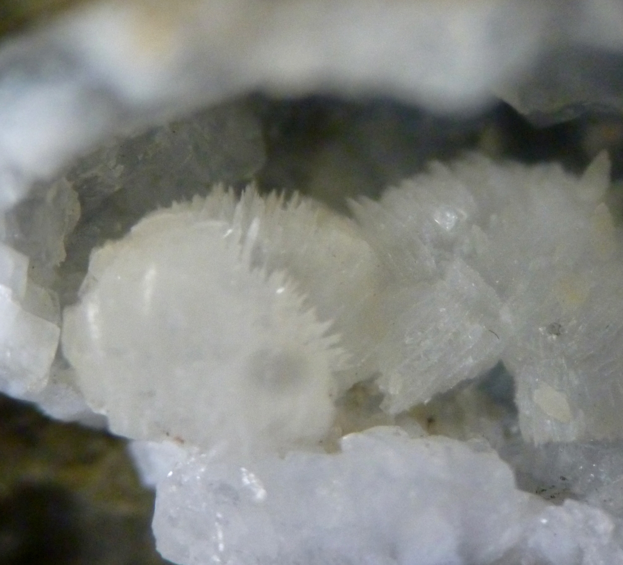 Phillipsite Gismondine Lévyne & Thomsonite