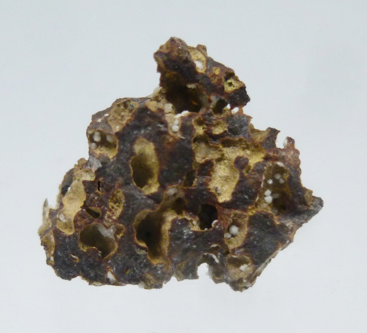 Phillipsite & Chabazite