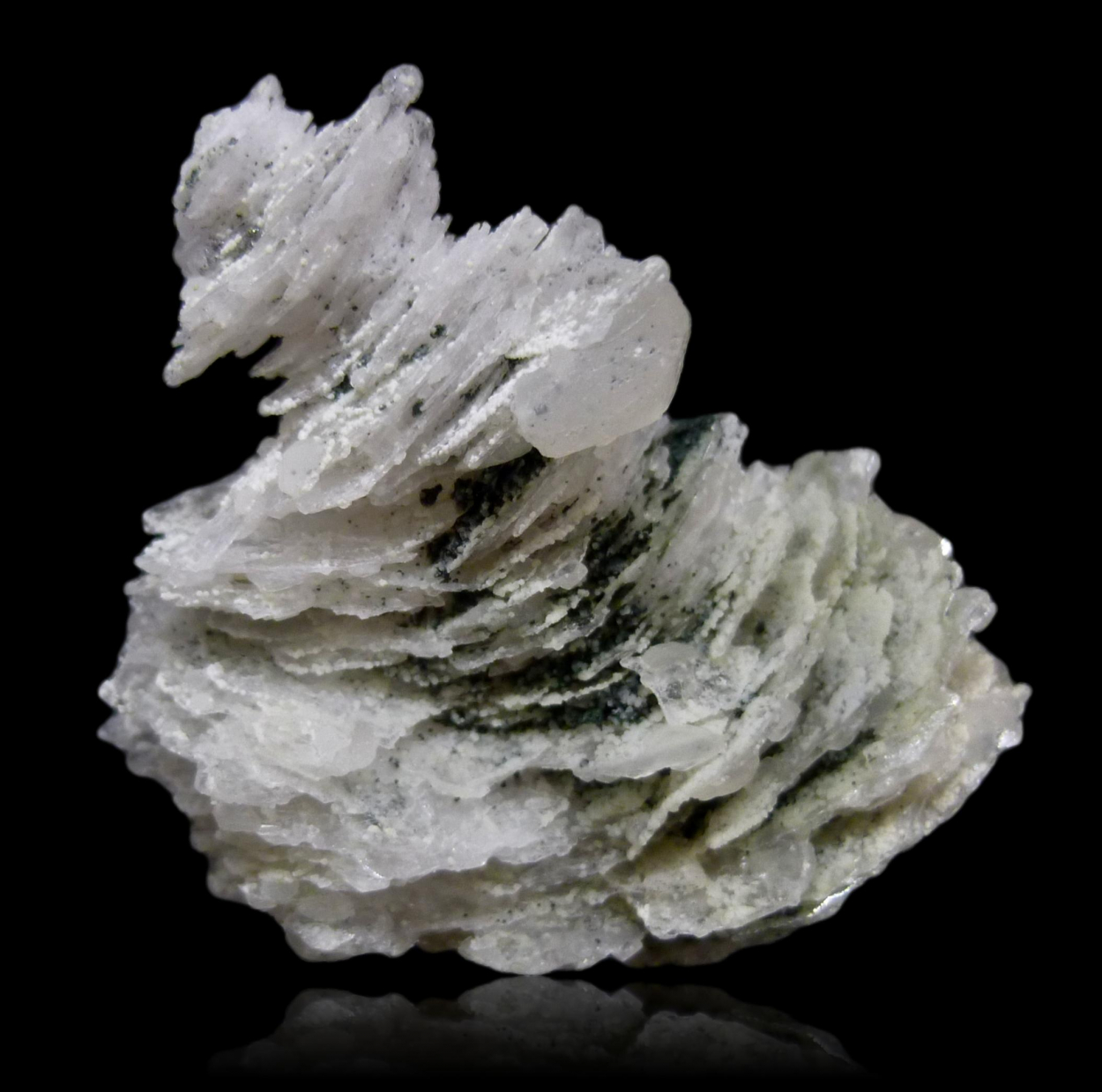 Calcite & Chlorite