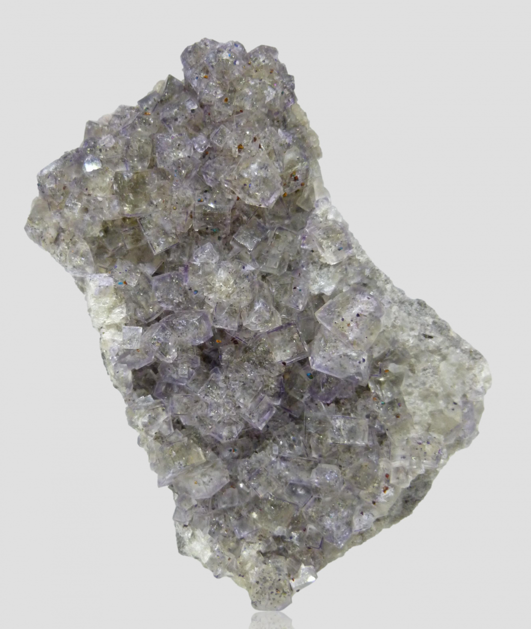 Fluorite & Chalcopyrite