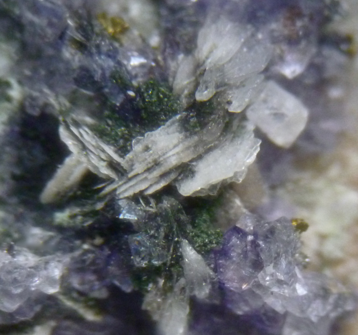 Fluorite Baryte & Chalcopyrite