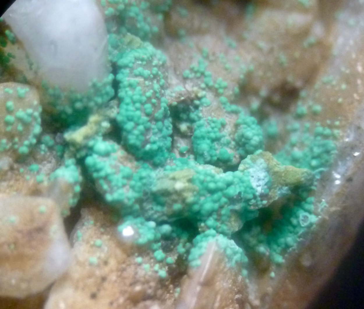 Malachite & Baryte