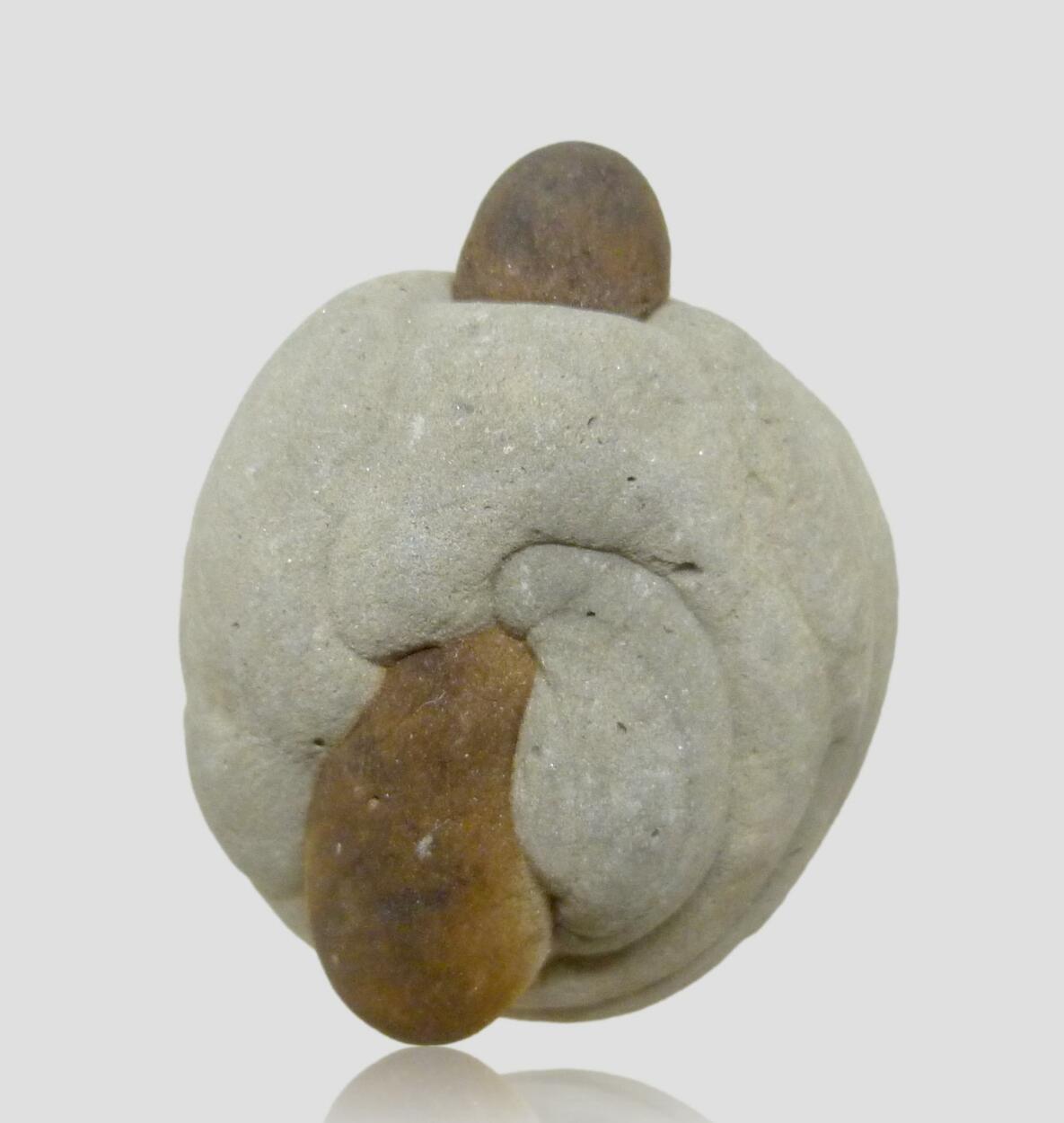 Concretion