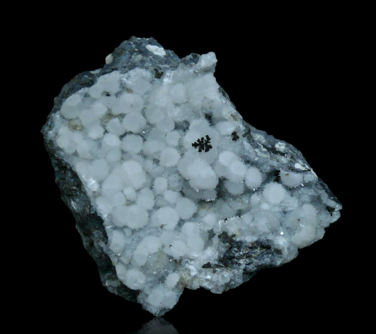 Thomsonite-Ca Chabazite-Ca & Analcime
