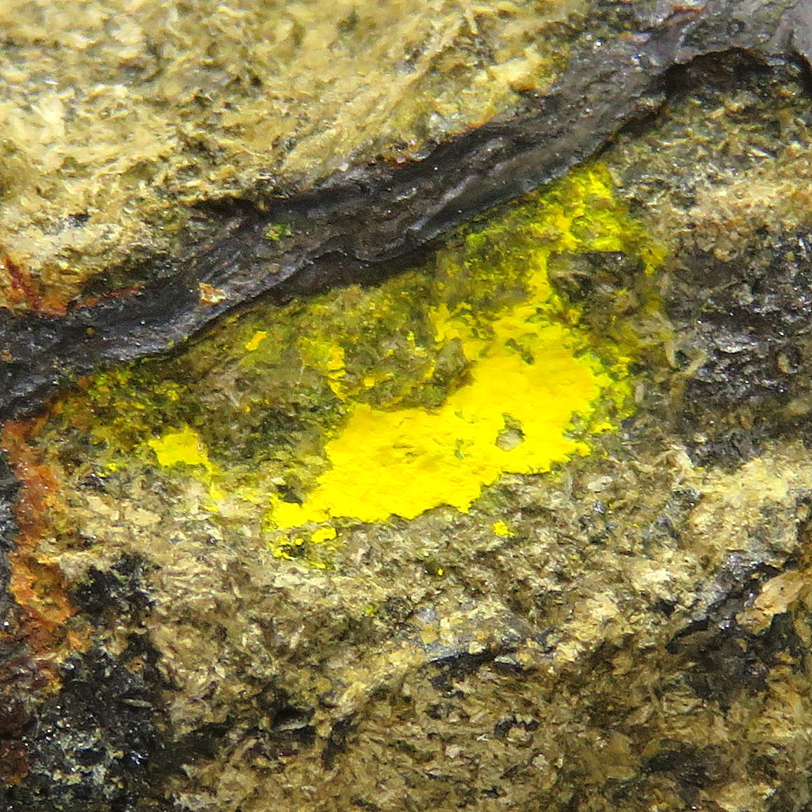 Greenockite