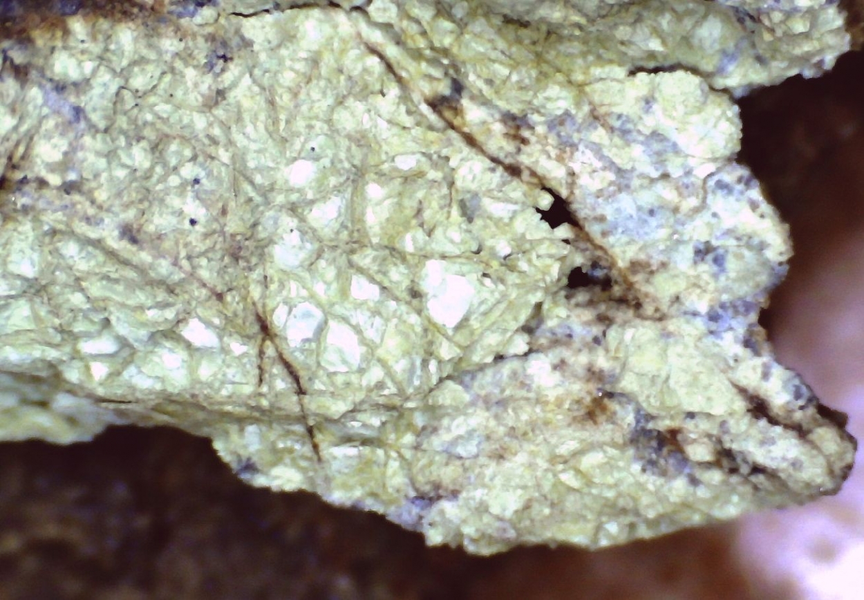 Varlamoffite