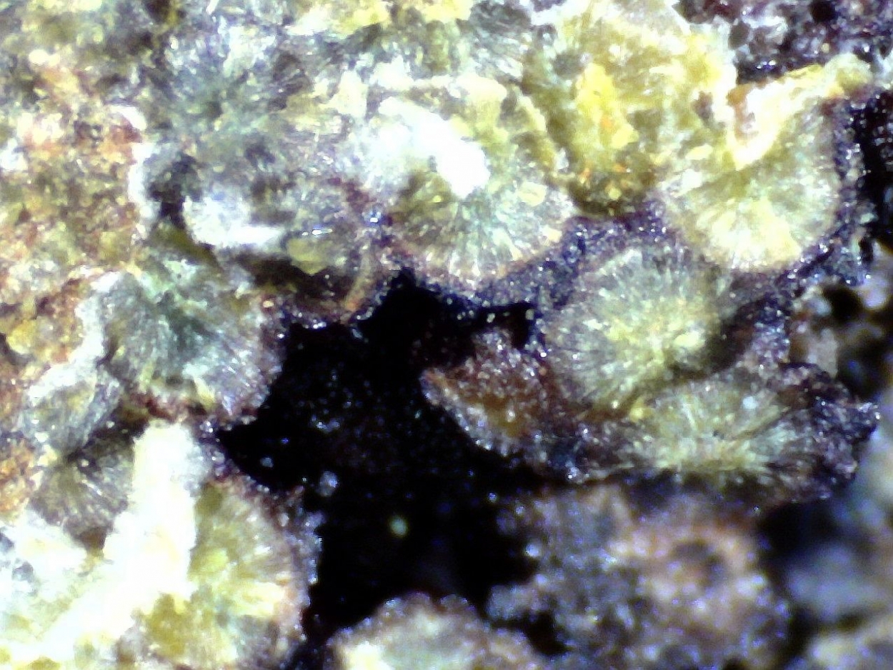 Cobaltarthurite & Arseniosiderite