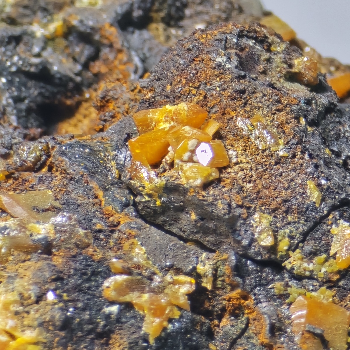 Wulfenite