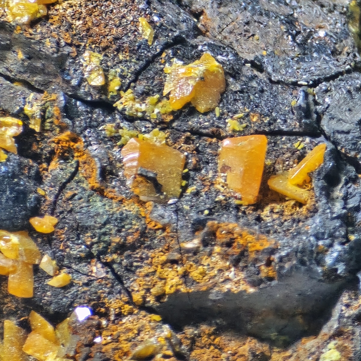 Wulfenite