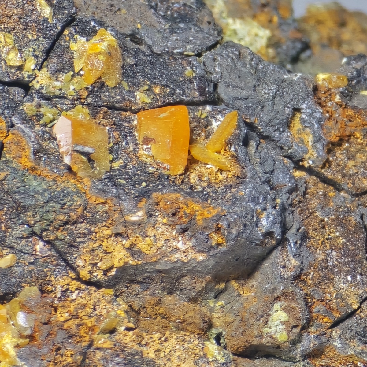 Wulfenite