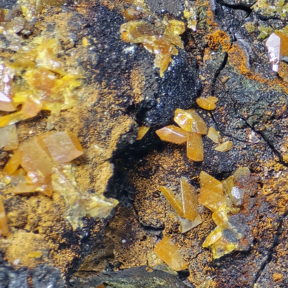 Wulfenite