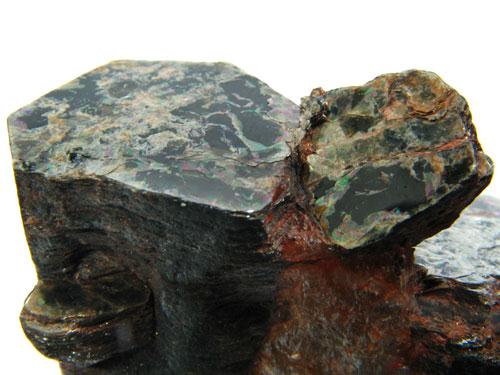 Muscovite