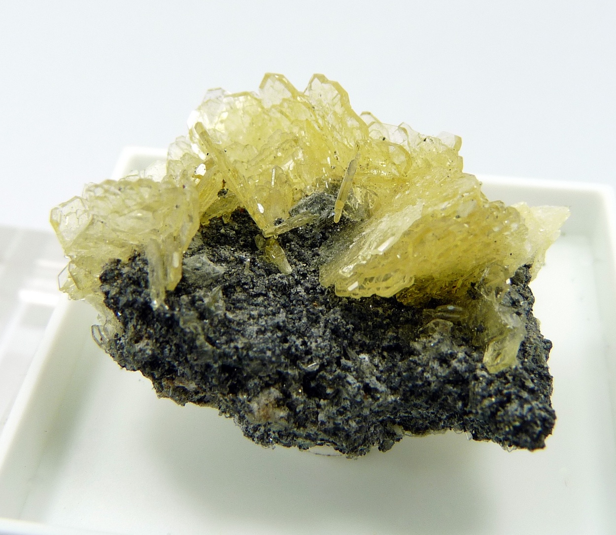 Baryte