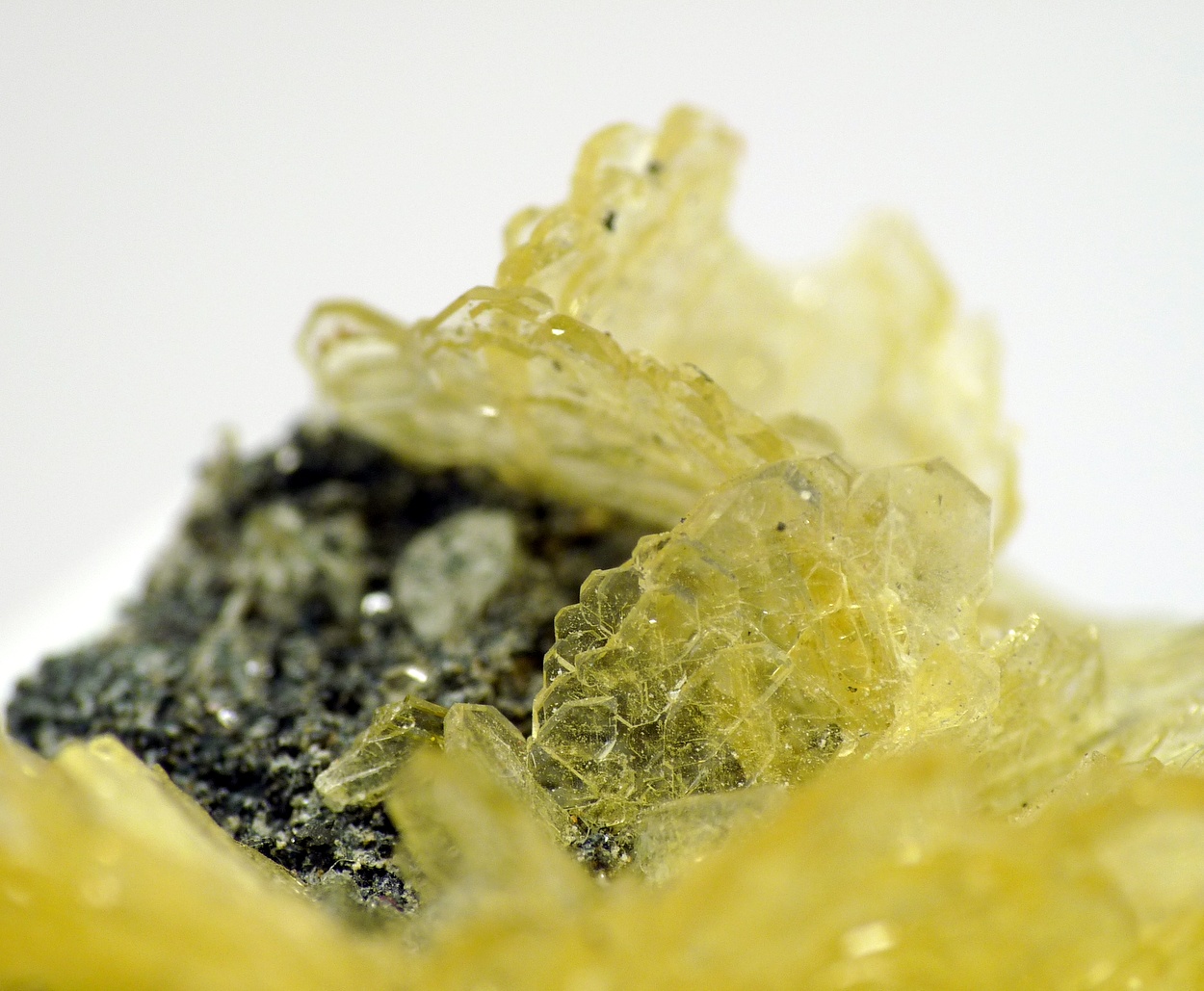 Baryte