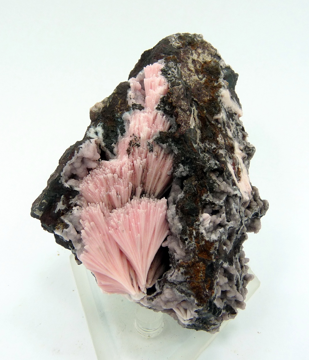 Kutnohorite & Manganoan Calcite