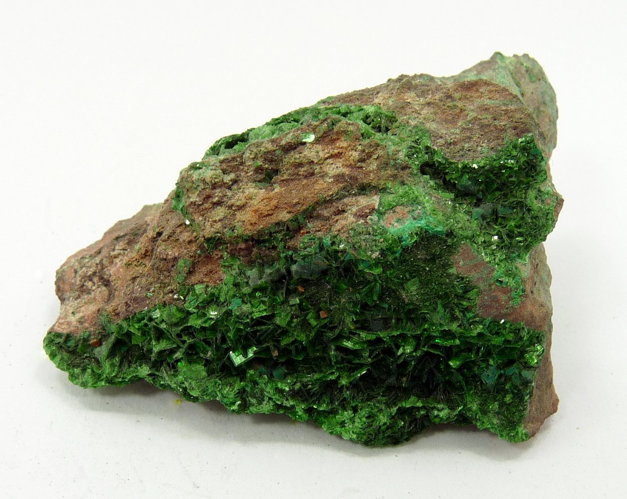 Metatorbernite