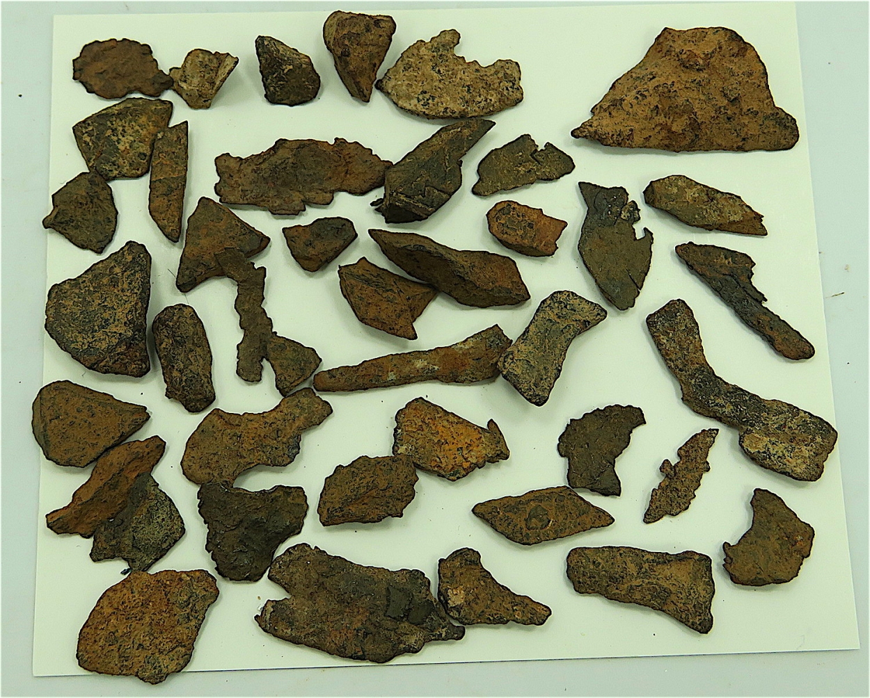 Meteorite