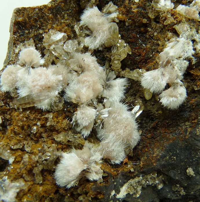 Bultfonteinite