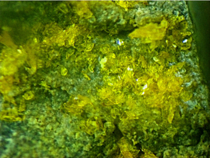 Schoderite