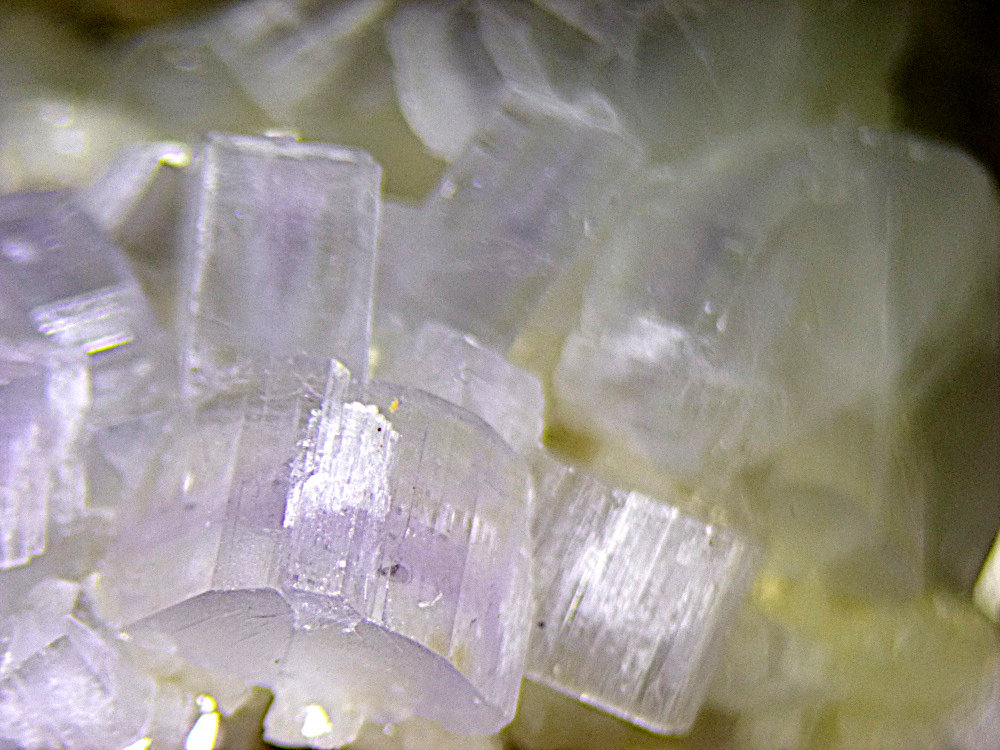 Fluorapatite