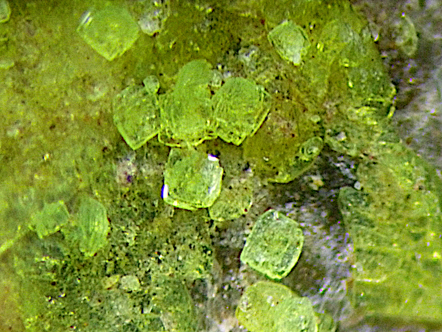 Braunerite & Línekite