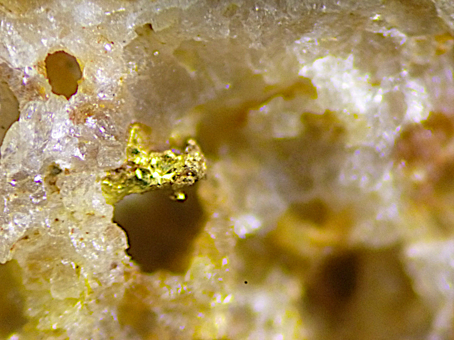 Gold