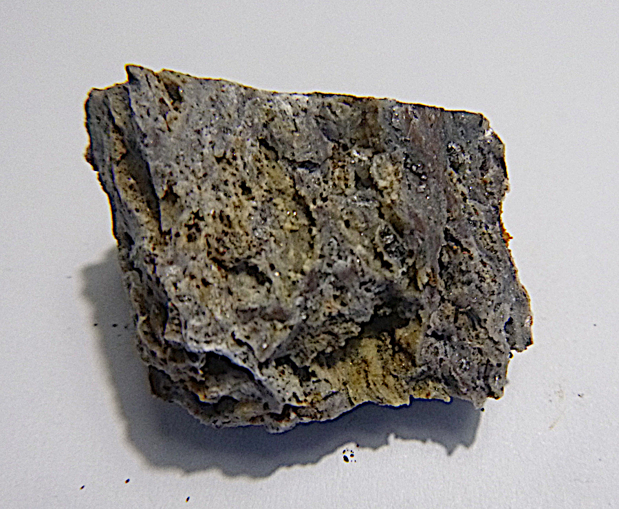 Magnesio-ferri-fluoro-hornblende