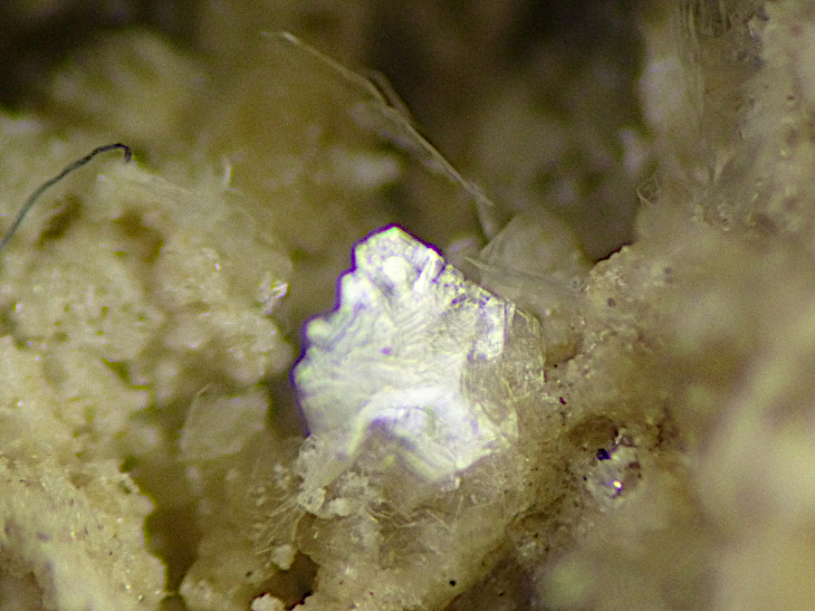 Aristarainite