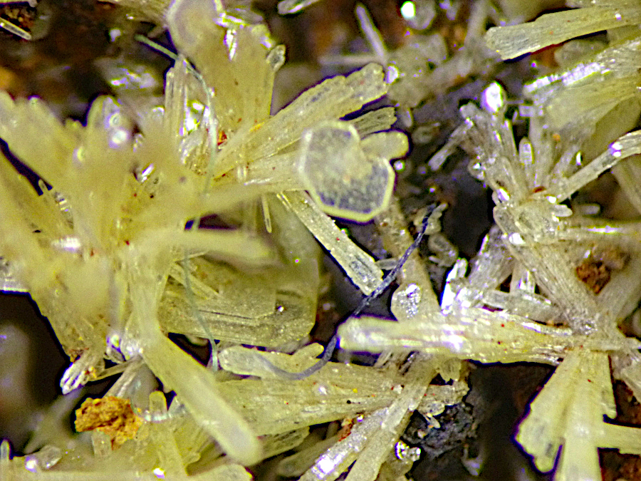 Mimetite & Wulfenite