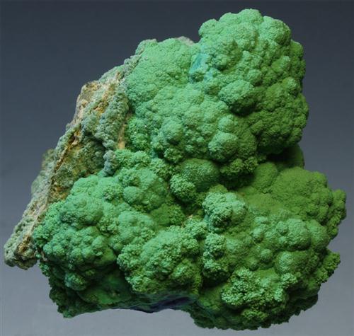 Malachite Psm Azurite Conichalcite Olivenite & Arsenocrandallite