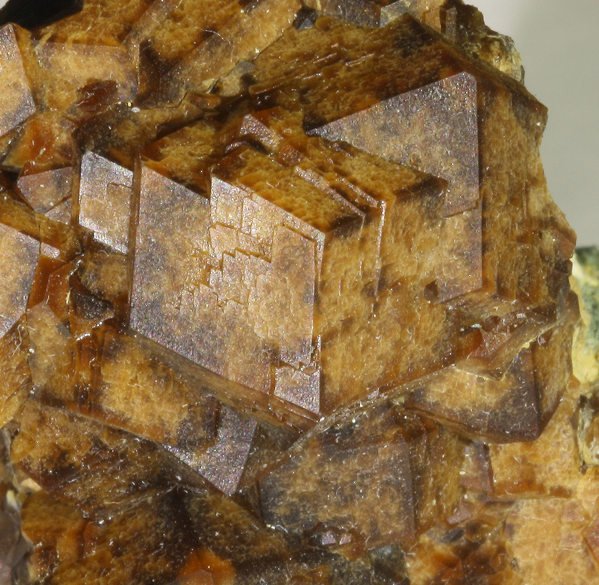 Andradite On Hedenbergite