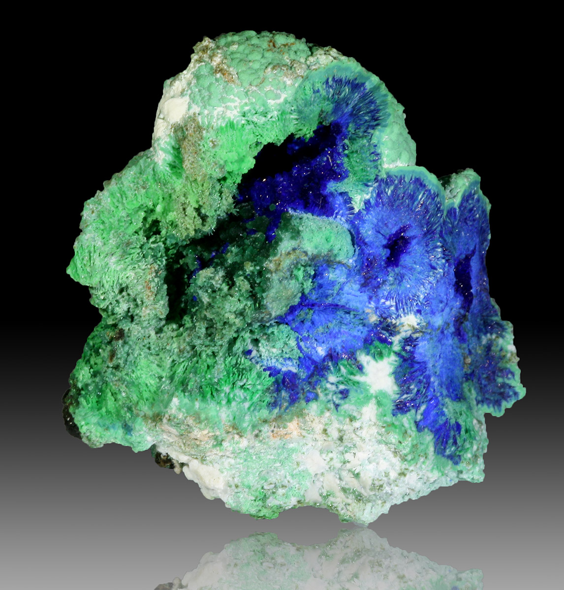 Conichalcite Azurite & Olivenite