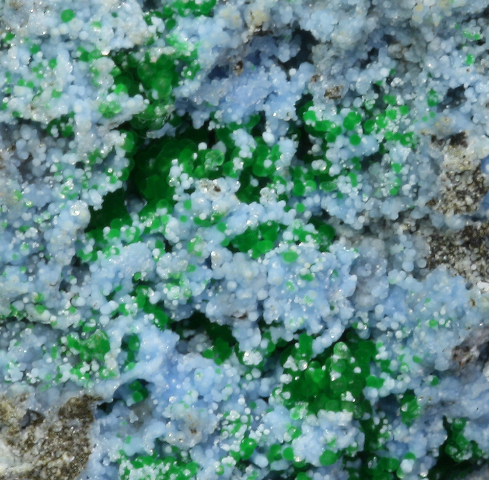 Arsenocrandallite & Conichalcite