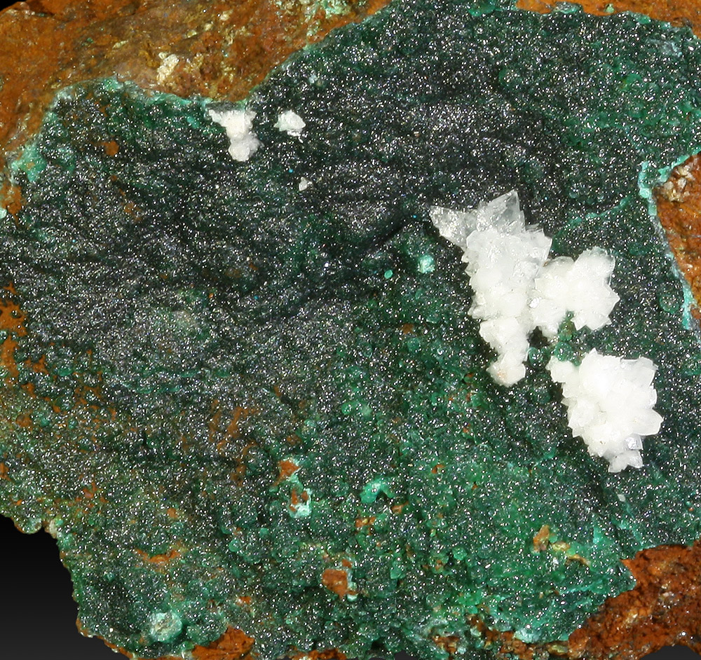 Cuprian Adamite & Aragonite