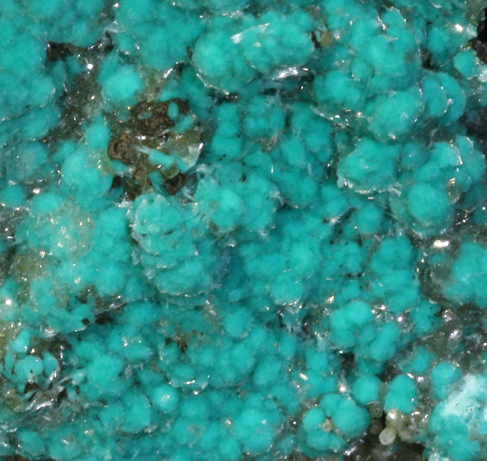 Rosasite Aurichalcite & Hemimorphite