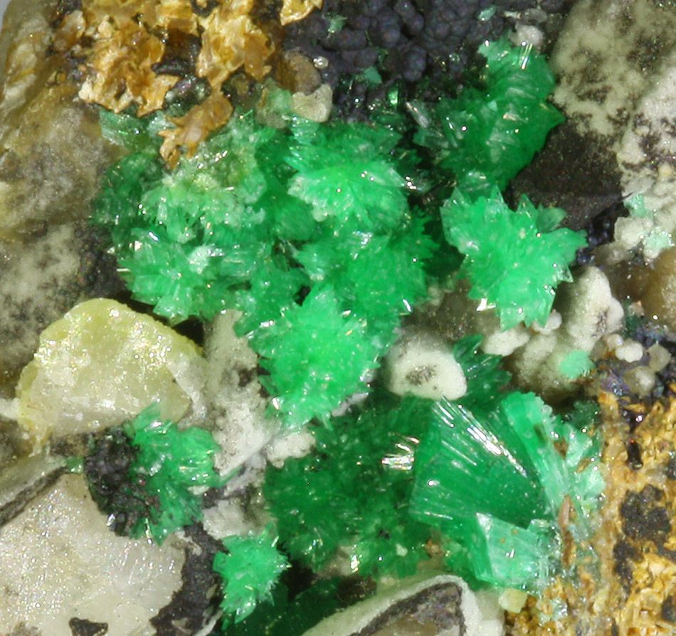 Annabergite Cabrerite Calcite & Gaspéite