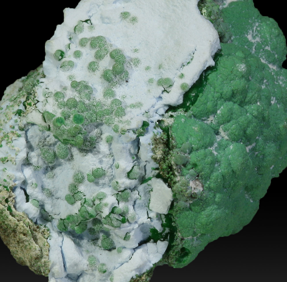 Arsenocrandallite Conichalcite & Olivenite