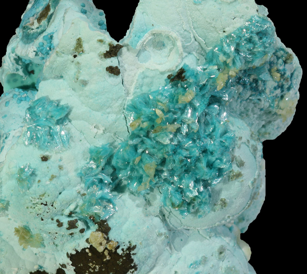 Chrysocolla & Aurichalcite