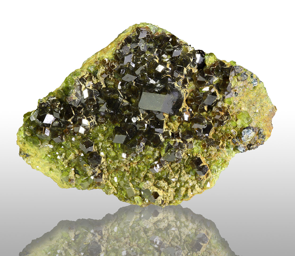 Andradite & Epidote