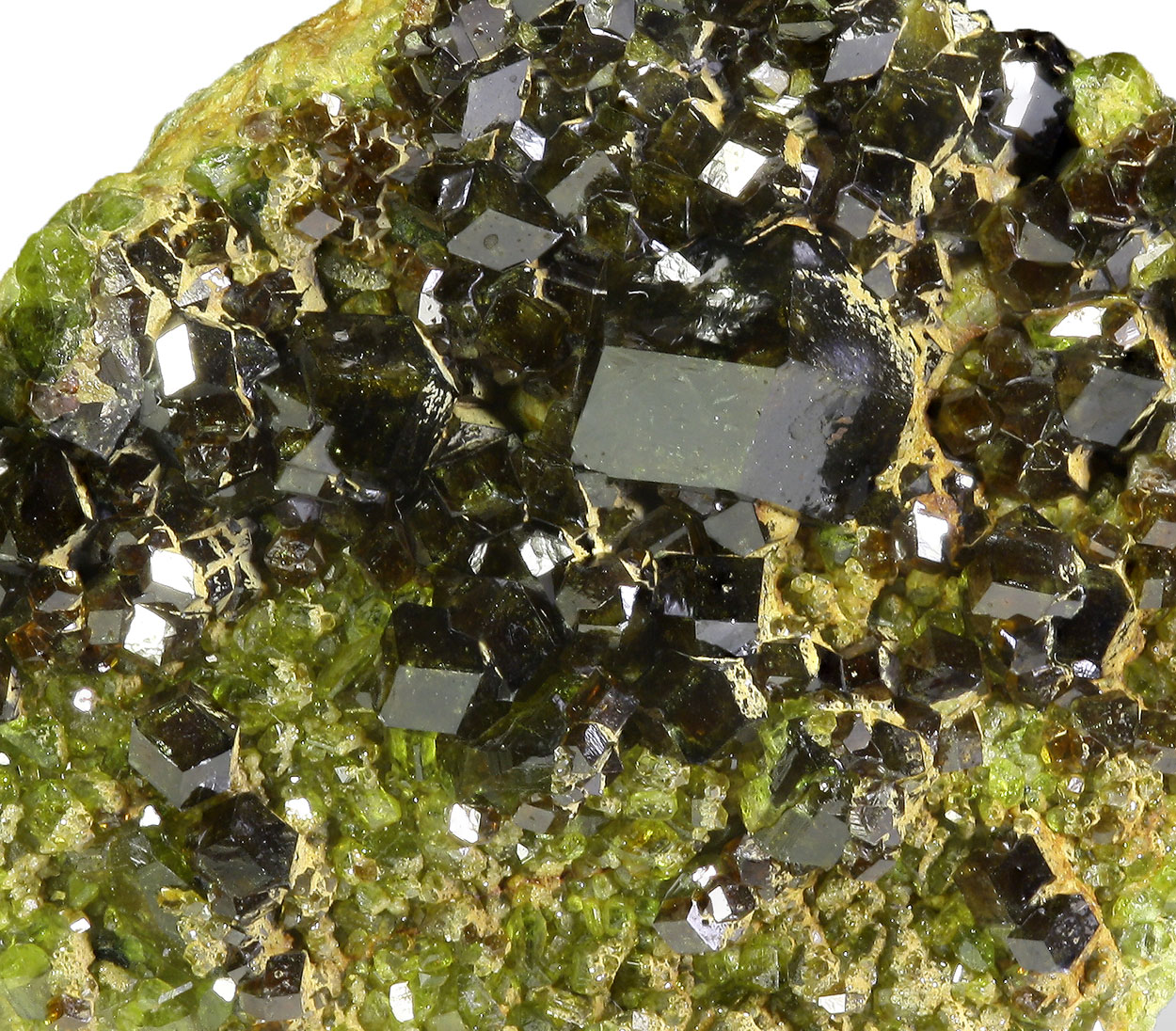 Andradite & Epidote