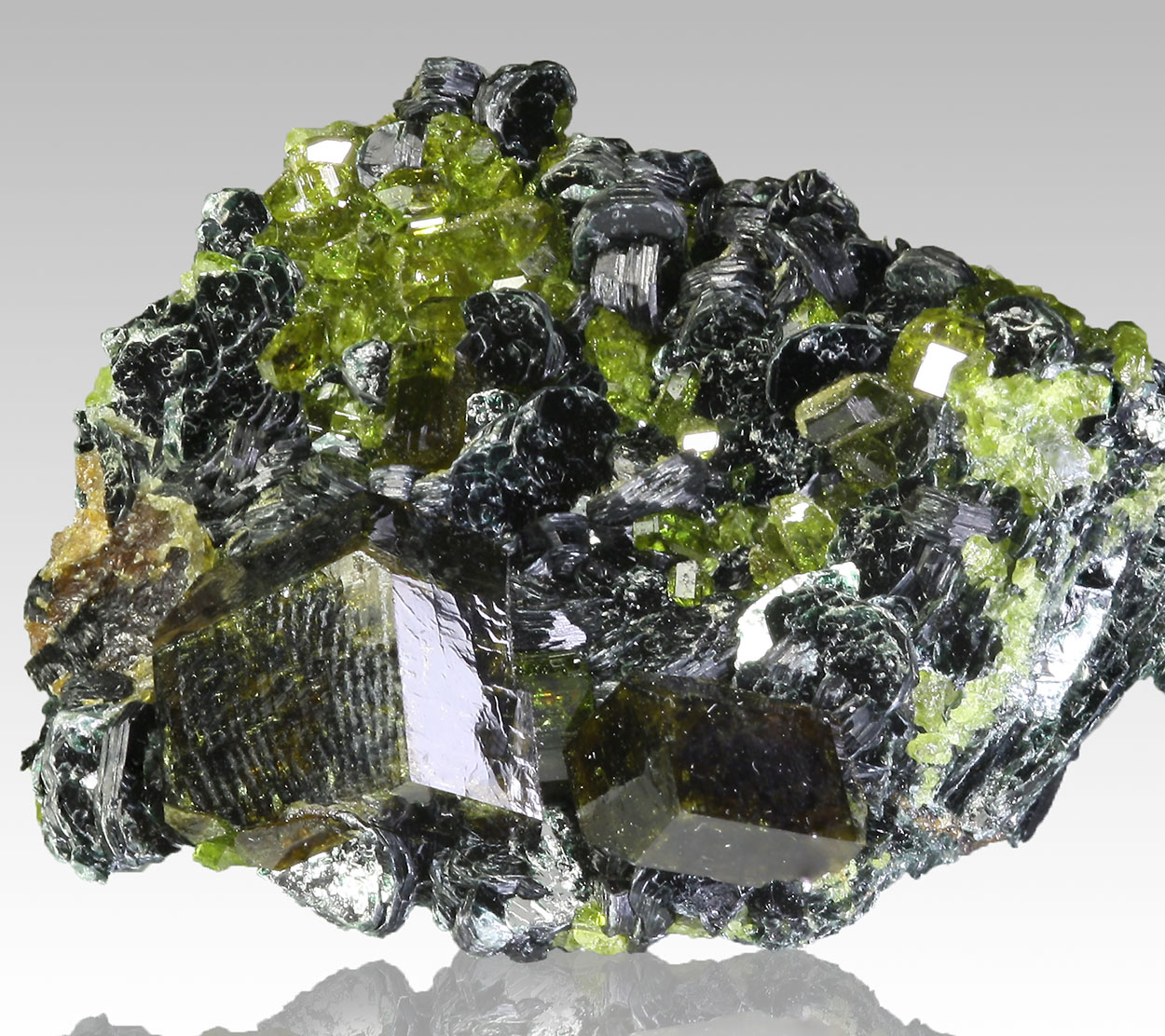 Andradite Epidote & Biotite