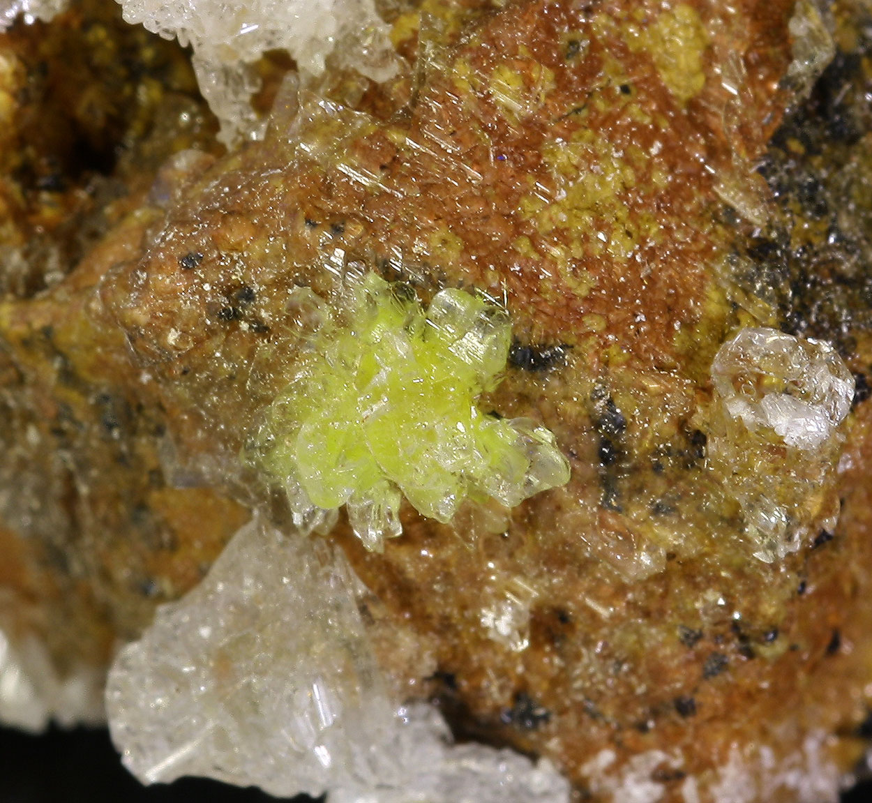 Sklodowskite & Gypsum