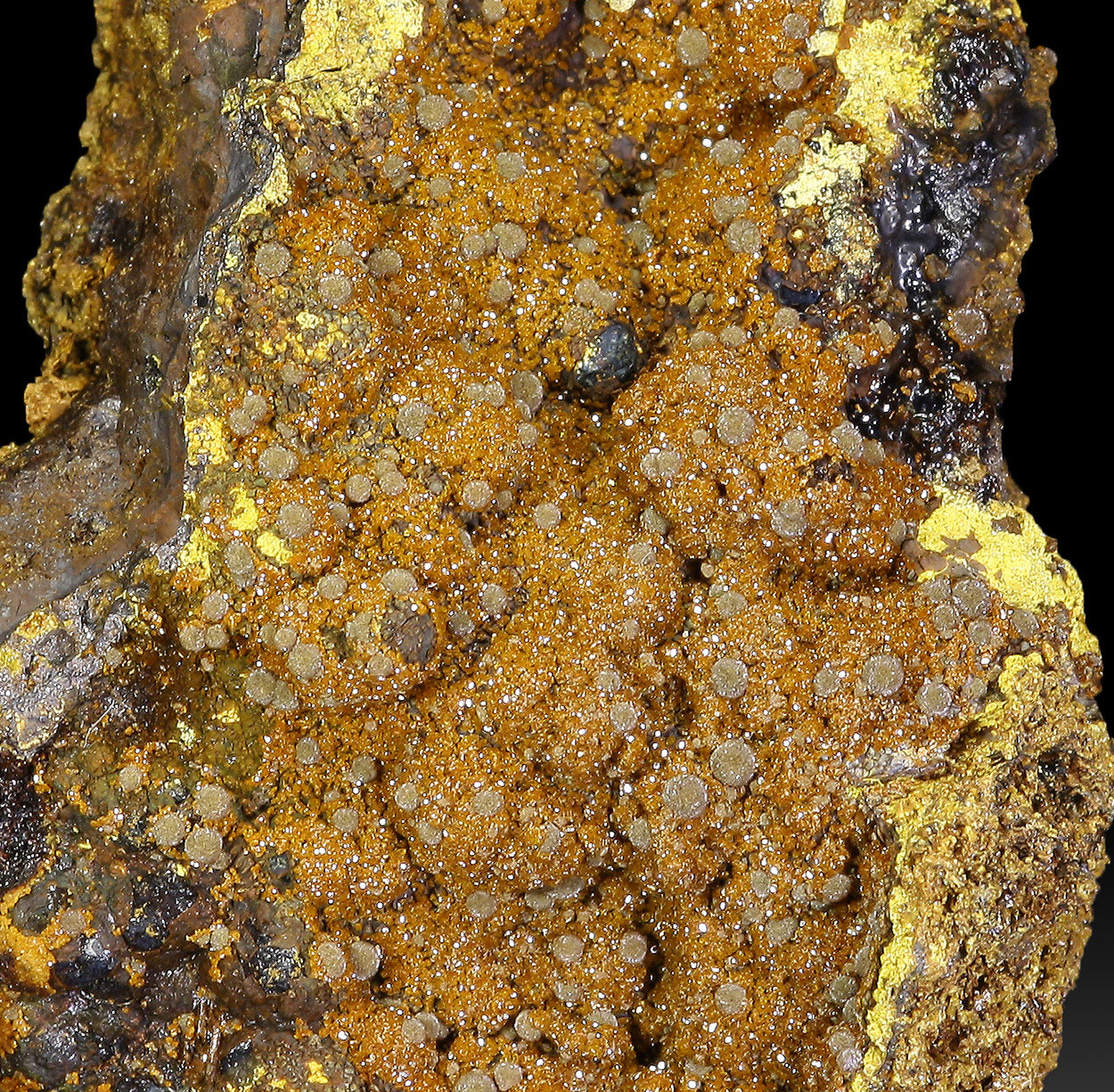 Natropharmacosiderite & Arseniosiderite